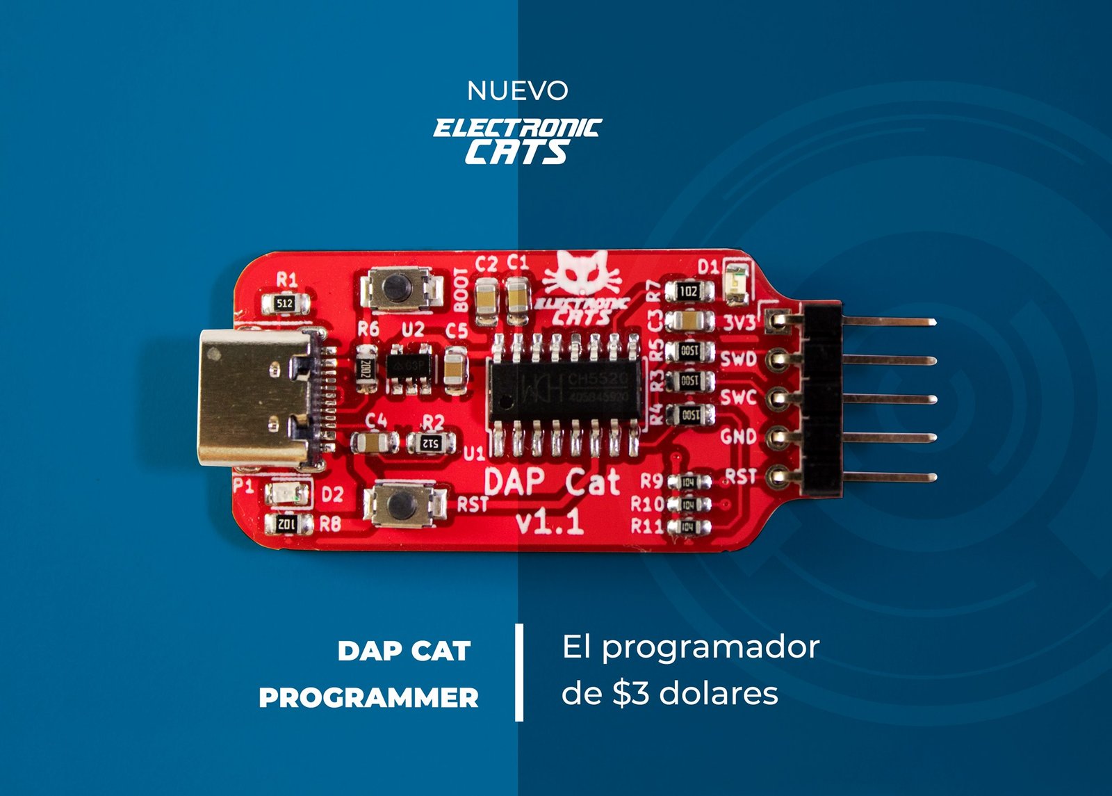 dap-cat-programmer_3